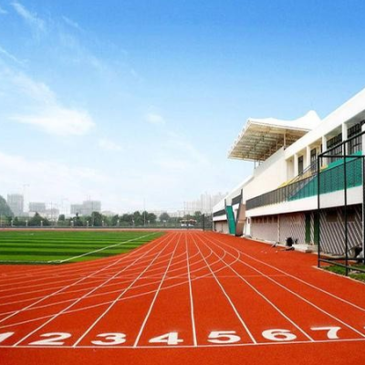 广欧塑胶跑道颗粒 学校操场及户外娱乐运动场地用EPDM橡胶颗粒